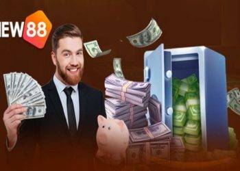 How to see beautiful and rare fighting cock scales according to expert experience