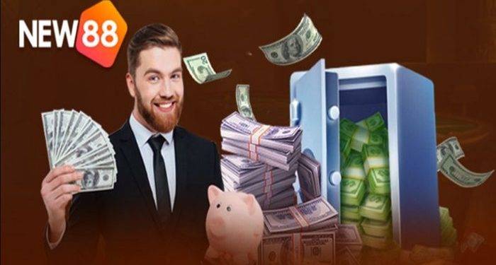 How to see beautiful and rare fighting cock scales according to expert experience